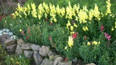 Enlarge photo 32