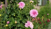 Enlarge photo 33
