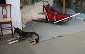 Enlarge photo 39