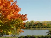 Autumn in Chicago