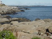 Enlarge photo 25