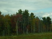 Enlarge photo 27