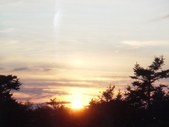 Enlarge photo 35