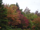 Enlarge photo 38