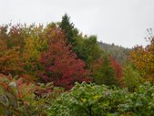 Autumn in New England