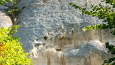 Enlarge photo 31