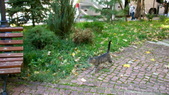 Enlarge photo 36