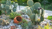 Enlarge photo 39