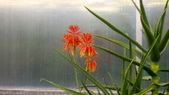 Enlarge photo 40
