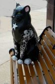 Cats of Racine