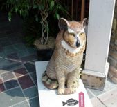 Enlarge photo 11
