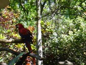 Enlarge photo 12
