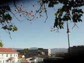 Enlarge photo 31
