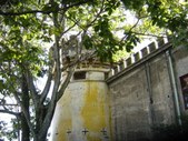 Enlarge photo 33