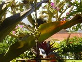 Enlarge photo 38