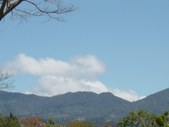 Enlarge photo 39