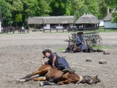 Enlarge photo 15