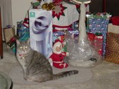 Enlarge photo 13