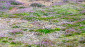 Enlarge photo 37