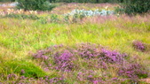 Enlarge photo 38