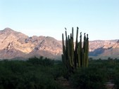 Enlarge photo 16