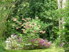 Monet's Gardens at Giverny