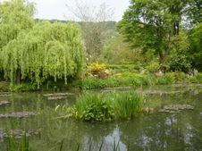 Enlarge photo 4