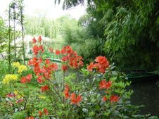 Enlarge photo 14