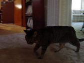 Enlarge photo 2
