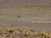 Enlarge photo 1
