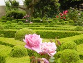 Enlarge photo 13