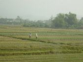 Enlarge photo 1