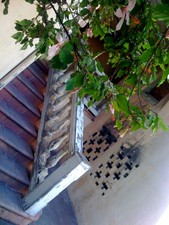 Enlarge photo 14