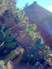 Enlarge photo 18