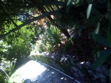 Enlarge photo 19