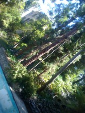 Enlarge photo 31