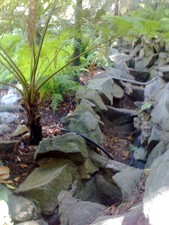 Enlarge photo 34