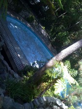 Enlarge photo 35