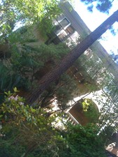 Enlarge photo 36