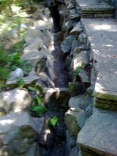 Enlarge photo 37