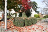 Enlarge photo 4