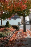 Enlarge photo 6