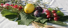 Enlarge photo 20