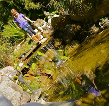 Enlarge photo 31