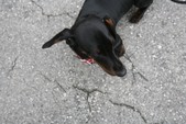 Enlarge photo 10
