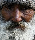 Enlarge photo 88