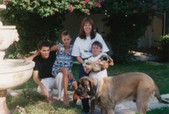 Enlarge photo 40