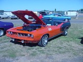 Enlarge photo 34
