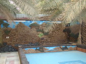 Enlarge photo 13
