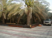 Enlarge photo 16